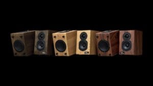 Audio Phonic PHONI-Z50 Bookshelf Passive Speaker - Image 6