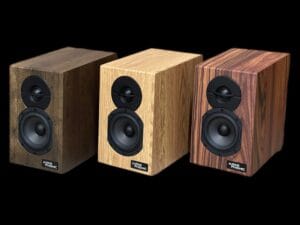Audio Phonic PHONI-Z50 Bookshelf Passive Speaker - Image 7