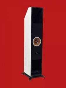 Audio Phonic PHONIC-M6 Full Range Speaker - Image 4