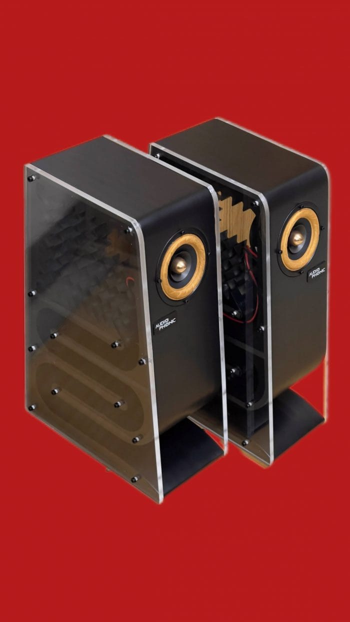 IMG_5558-700x1244 Audio Phonic PHONIC-TL4 Book-Shelf Speaker - Image 1