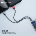 iBasso CB19C